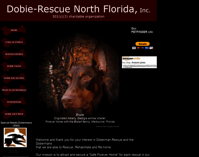 Dobie-rescue.org thumbnail