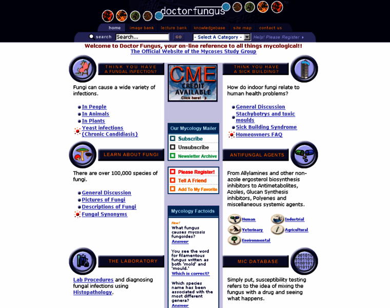 Doctorfungus.org thumbnail