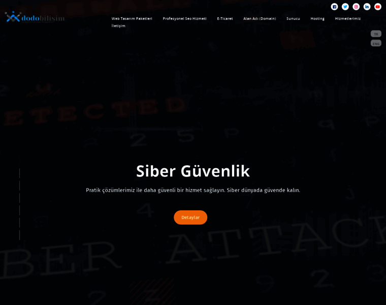 Dodobilisim.net.tr thumbnail