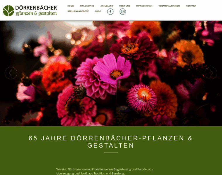 Doerrenbaecher.info thumbnail