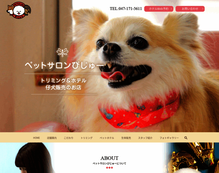 Dog-bijou.co.jp thumbnail
