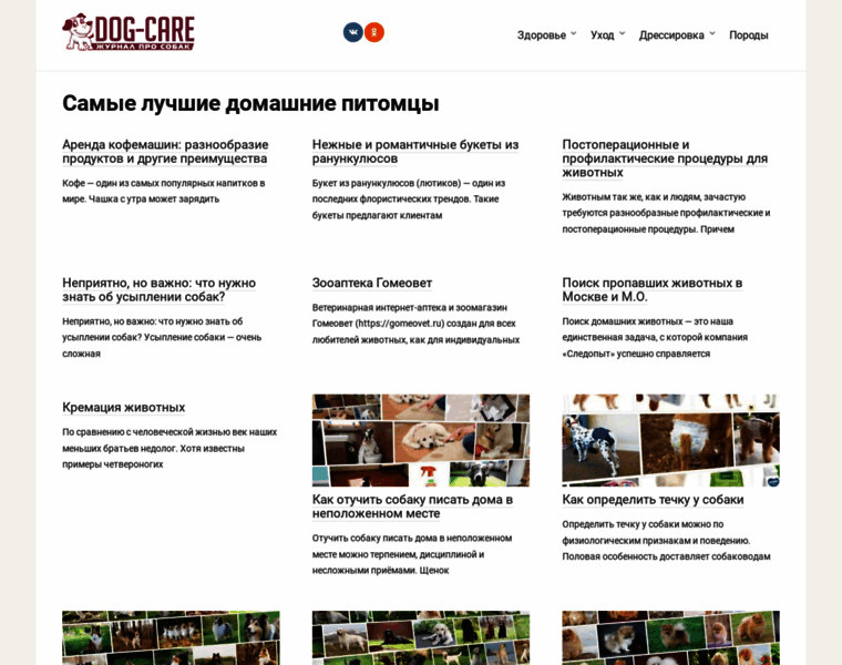 Dog-care.ru thumbnail