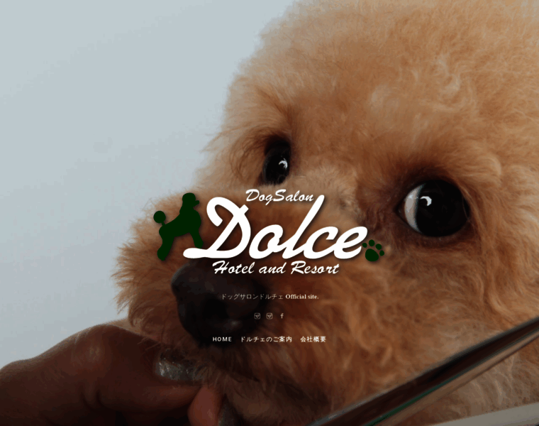 Dog-dolce.com thumbnail