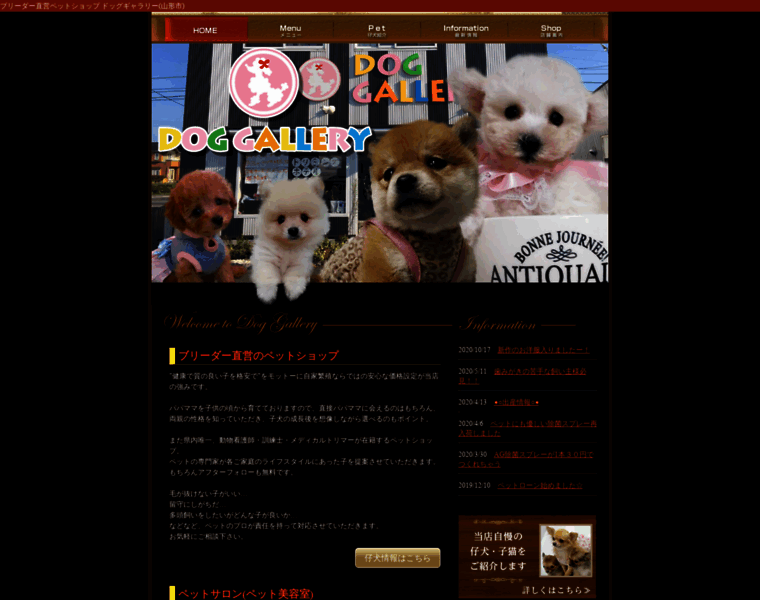 Dog-gallery.jp thumbnail