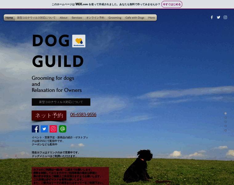 Dog-guild.com thumbnail