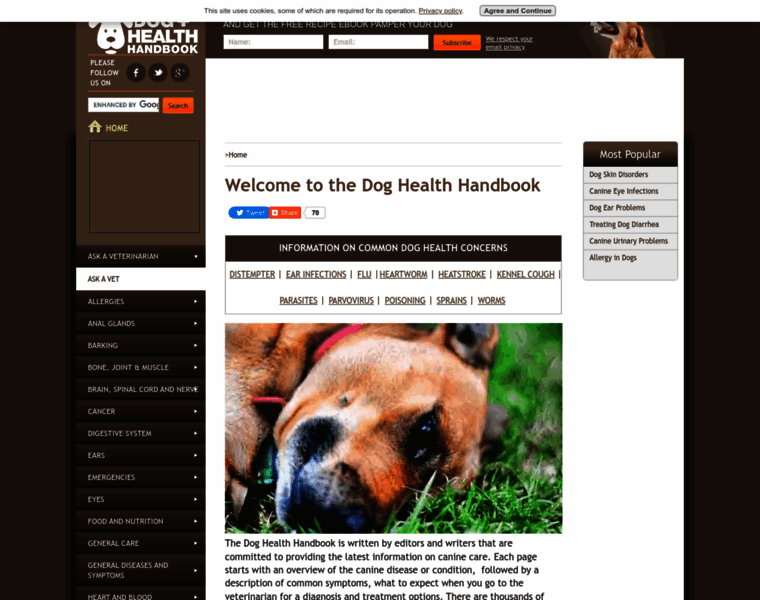 Dog-health-handbook.com thumbnail