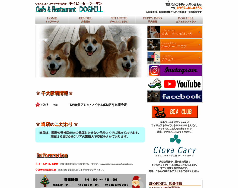 Dog-hill.net thumbnail