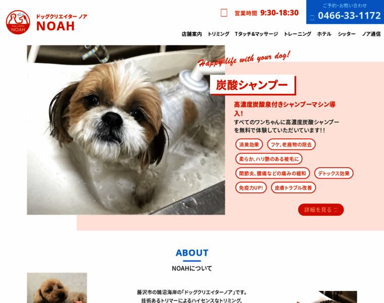 Dog-noah.jp thumbnail