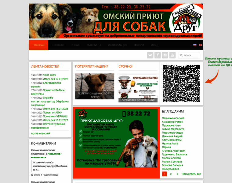 Dog-omsk.ru thumbnail