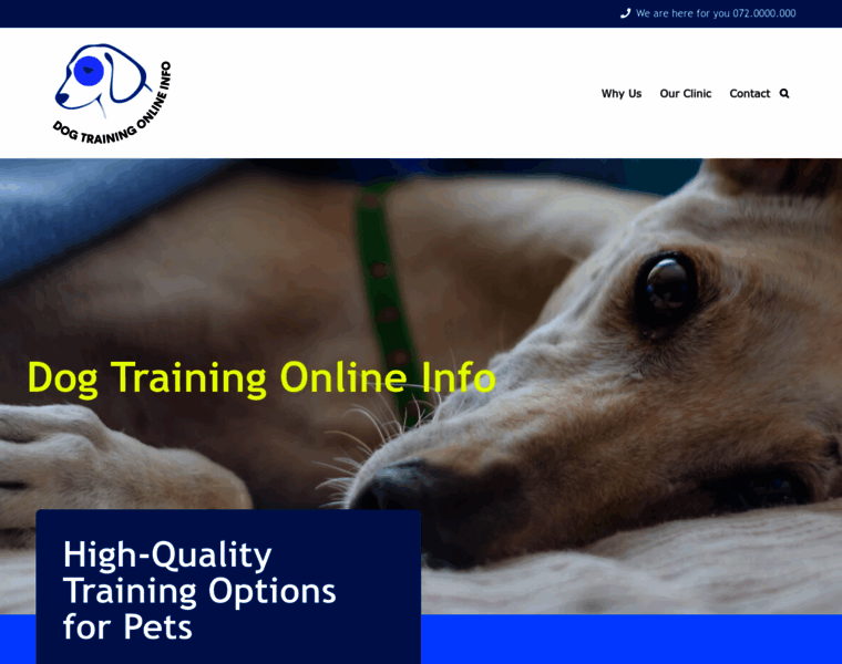 Dog-training-online.info thumbnail