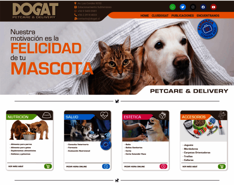 Dogat.cl thumbnail