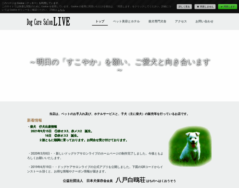 Dogcare-live.com thumbnail