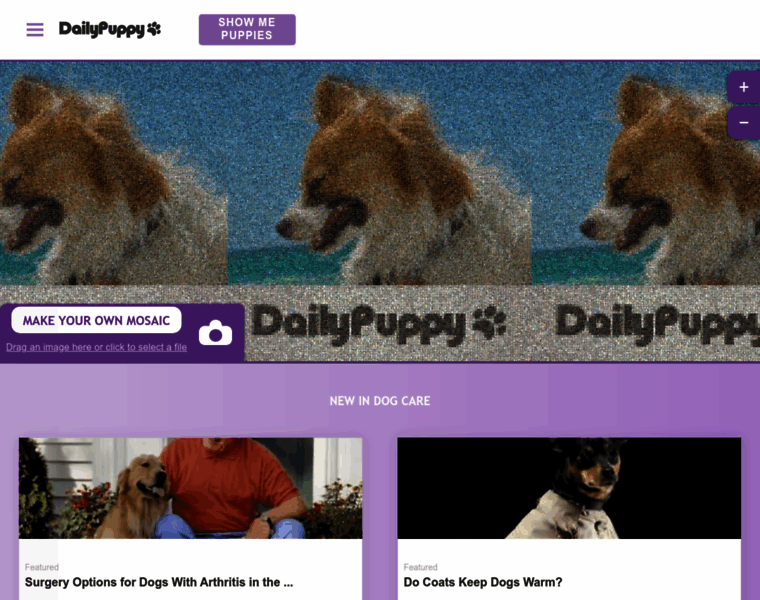Dogcare.dailypuppy.com thumbnail