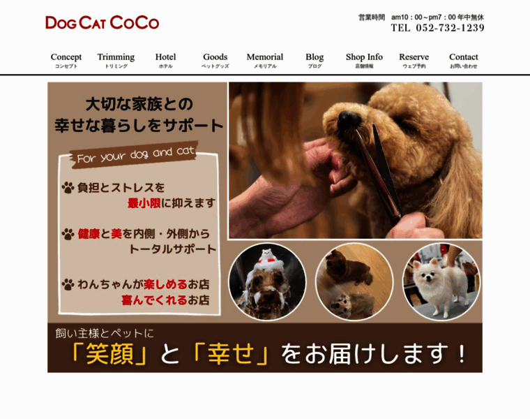 Dogcatcoco.net thumbnail