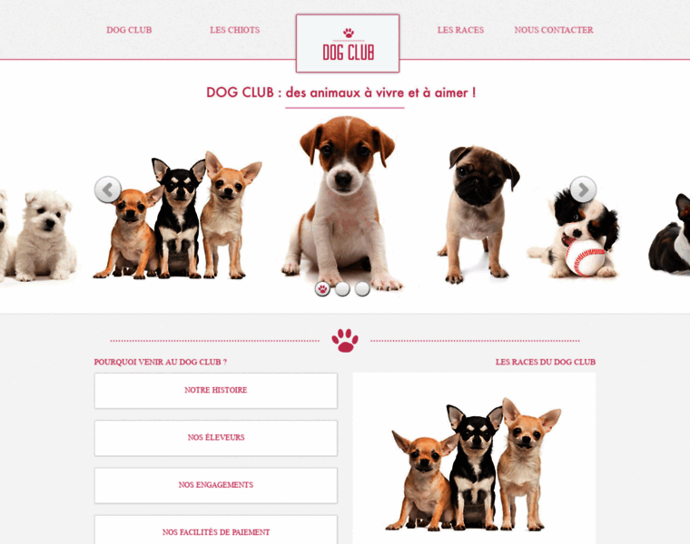 Dogclub.fr thumbnail