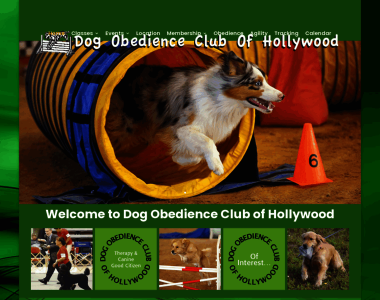 Dogclubofhollywood.com thumbnail