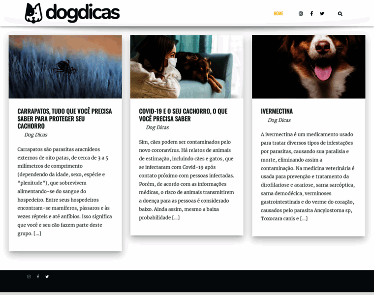 Dogdicas.com.br thumbnail