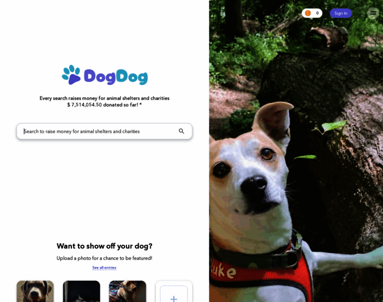 Dogdog.org thumbnail