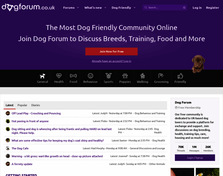 Dogforum.co.uk thumbnail