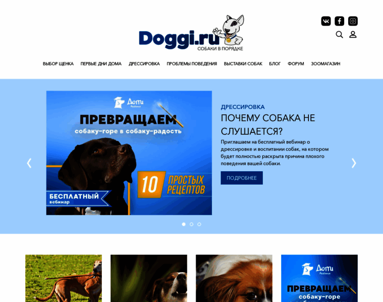 Doggi.ru thumbnail