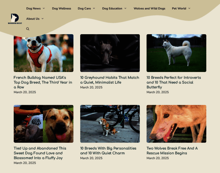 Doggodigest.com thumbnail Doggodigest.com thumbnail