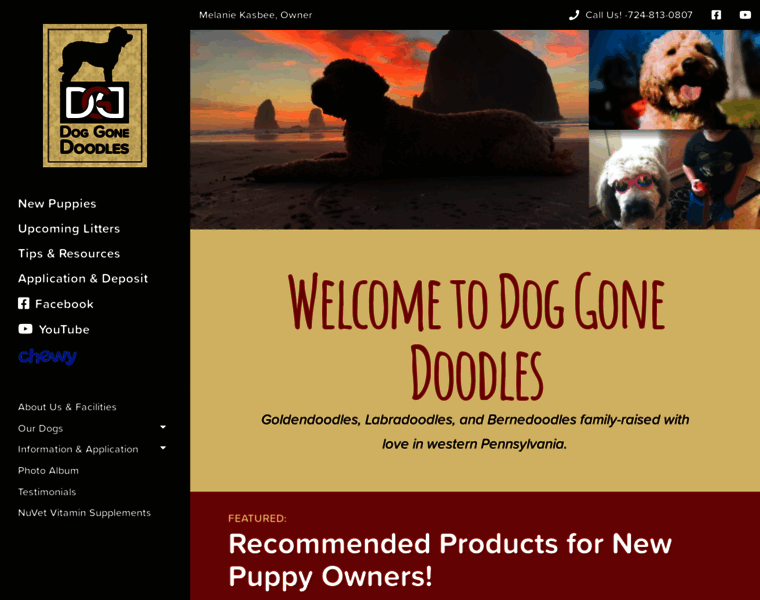 Doggonedoodles.com thumbnail