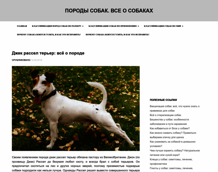 Doggos.ru thumbnail