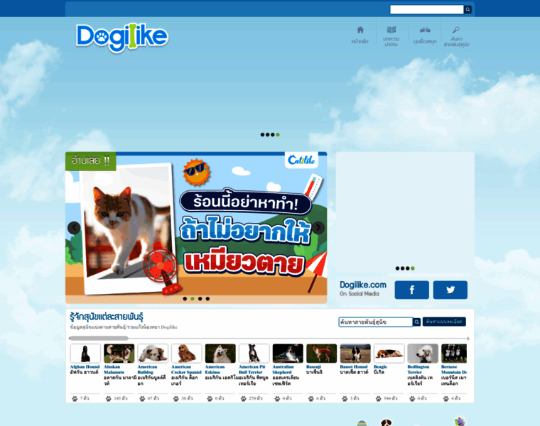 Dogilike.com thumbnail