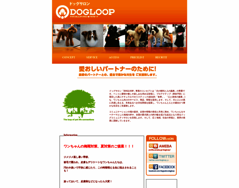 Dogloop.jp thumbnail