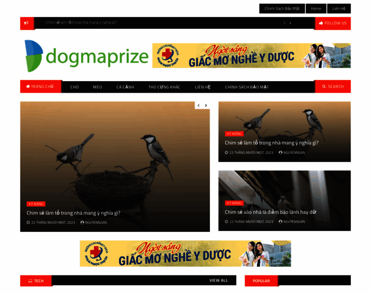 Dogmaprize.vn thumbnail