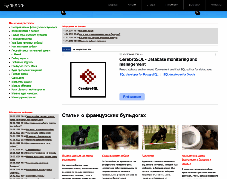 Dogmasya.ru thumbnail