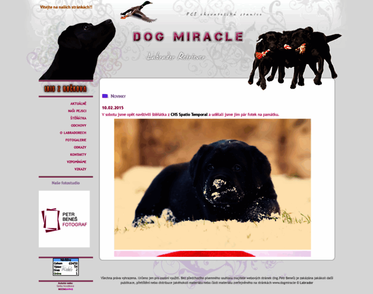 Dogmiracle.cz thumbnail