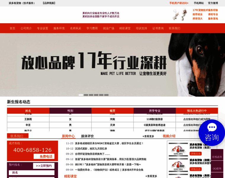Dogmr.com thumbnail