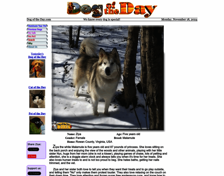 Dogoftheday.com thumbnail