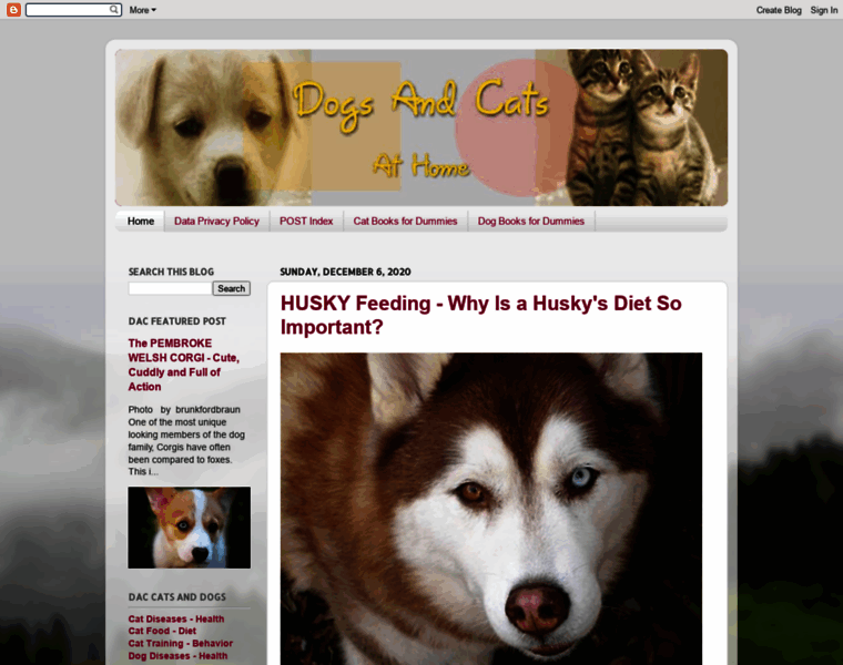 Dogs-and-cats-at-home.com thumbnail