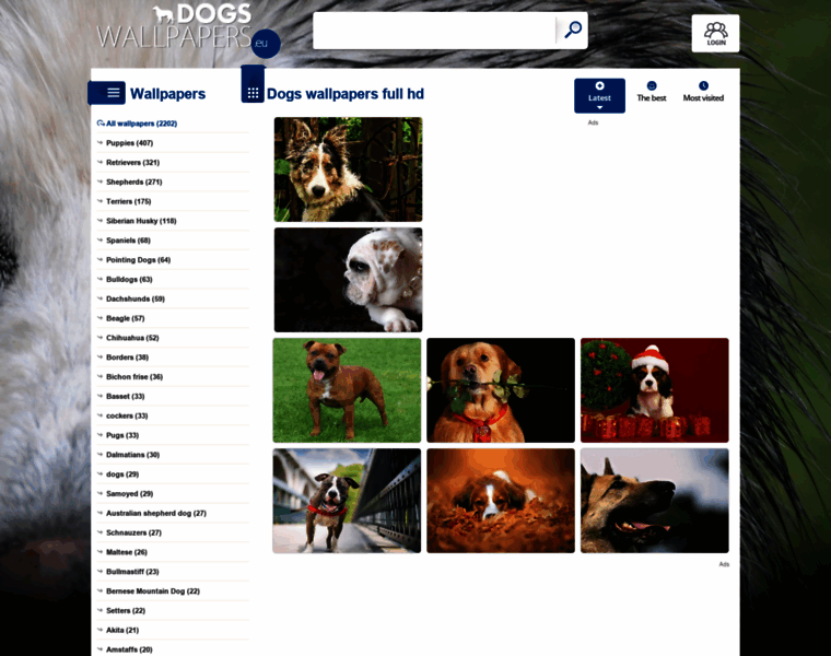 Dogs-wallpapers.eu thumbnail