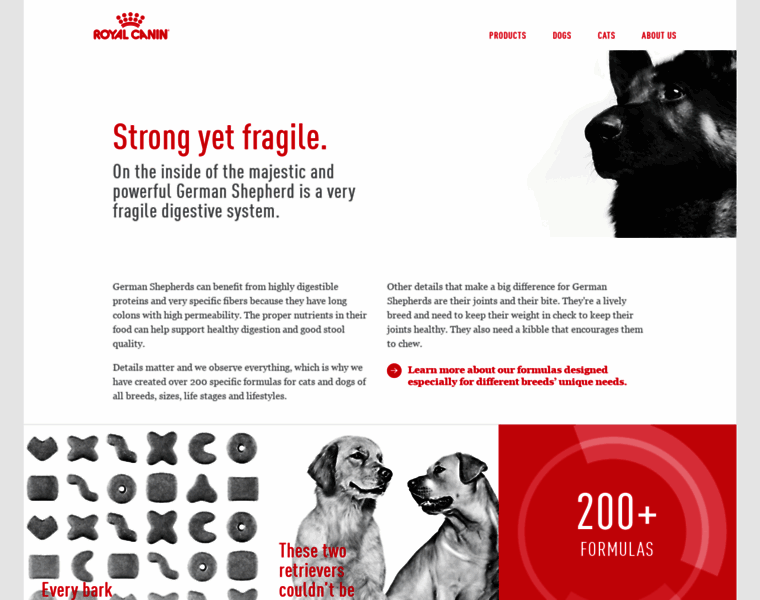 Dogs.royalcanin.com thumbnail