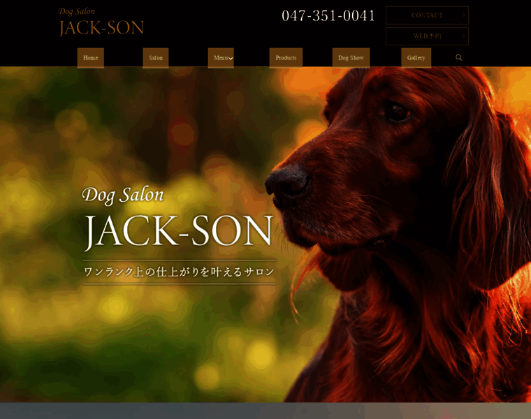 Dogsalon-jack-son.com thumbnail
