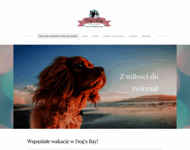Dogsbay.pl thumbnail