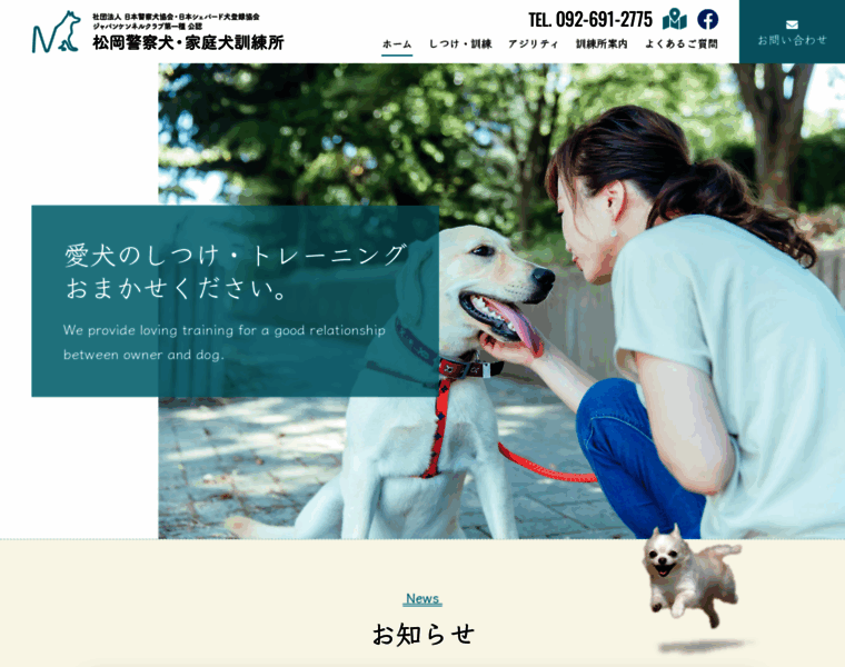 Dogschool-matsuoka.com thumbnail