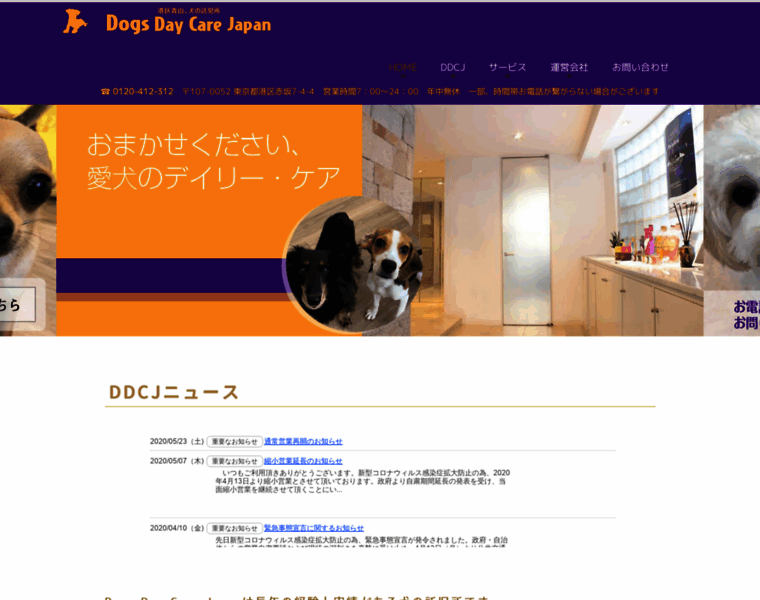 Dogsdaycare.jp thumbnail