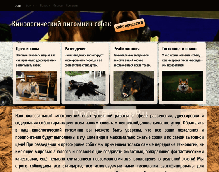 Dogsfactory.ru thumbnail