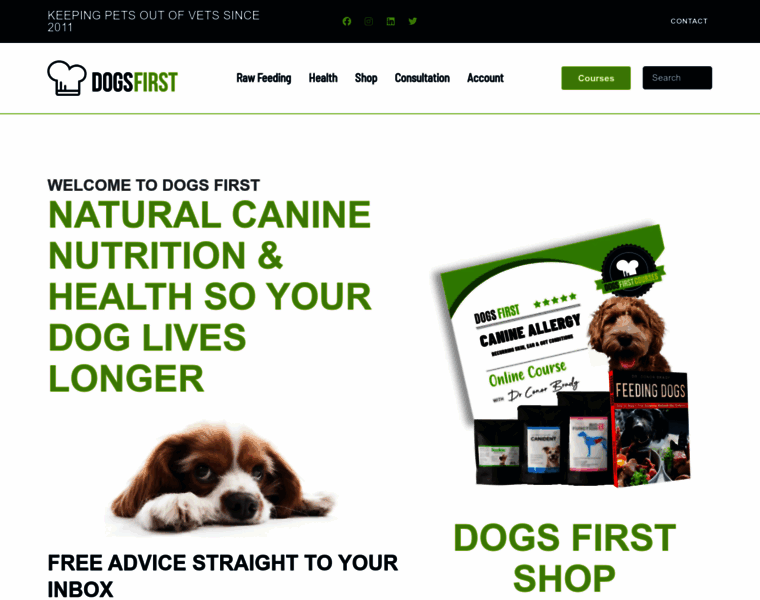 Dogsfirst.ie thumbnail