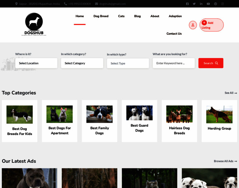 Dogshub.in thumbnail Dogshub.in thumbnail