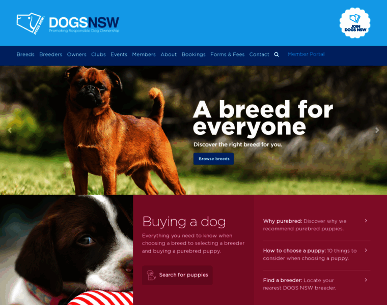 Dogsnsw.org.au thumbnail