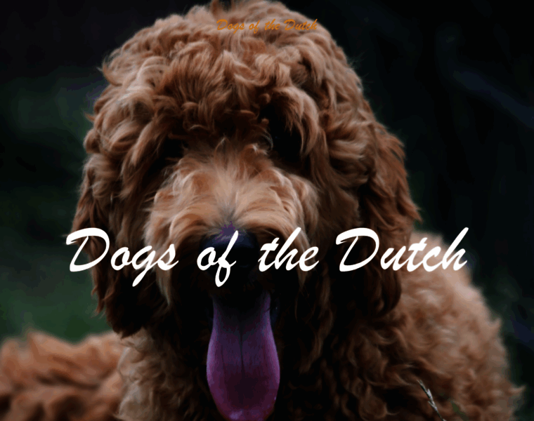 Dogsofthedutch.nl thumbnail