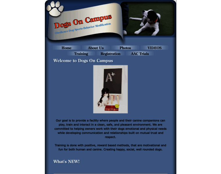 Dogsoncampus.com thumbnail