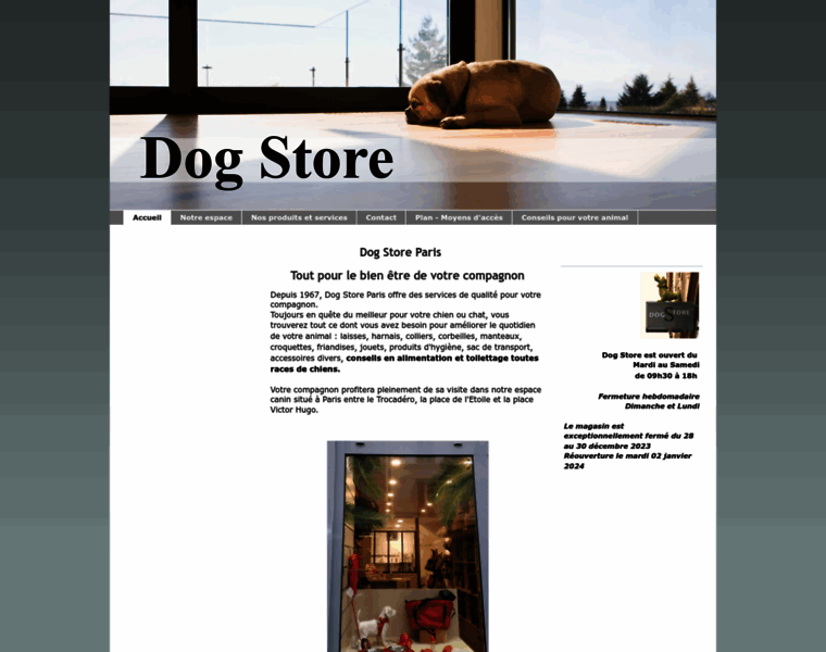 Dogstore.fr thumbnail
