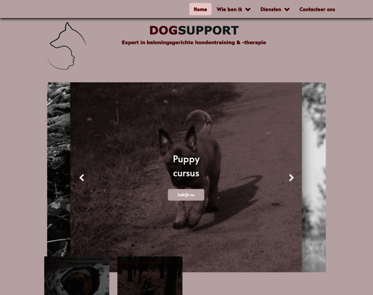 Dogsupport.be thumbnail