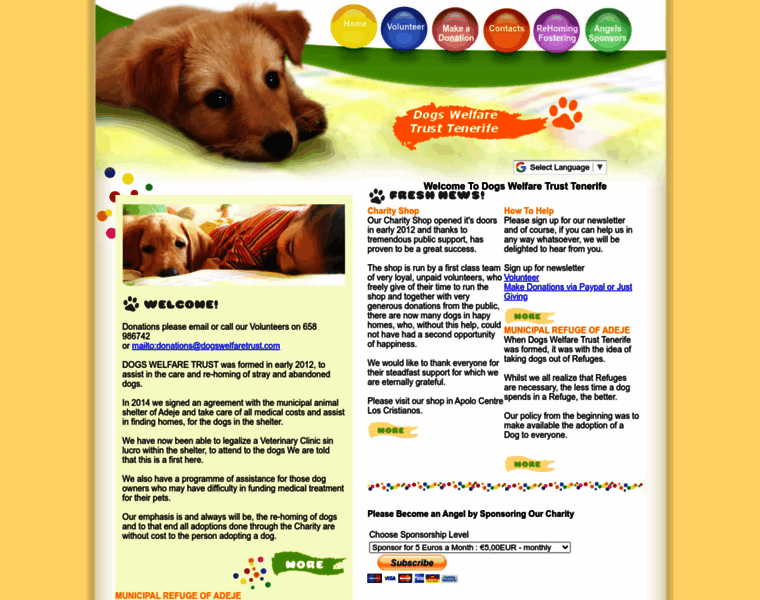 Dogswelfaretrusttenerife.com thumbnail